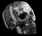 Preview: Skull Picasso Jaspis